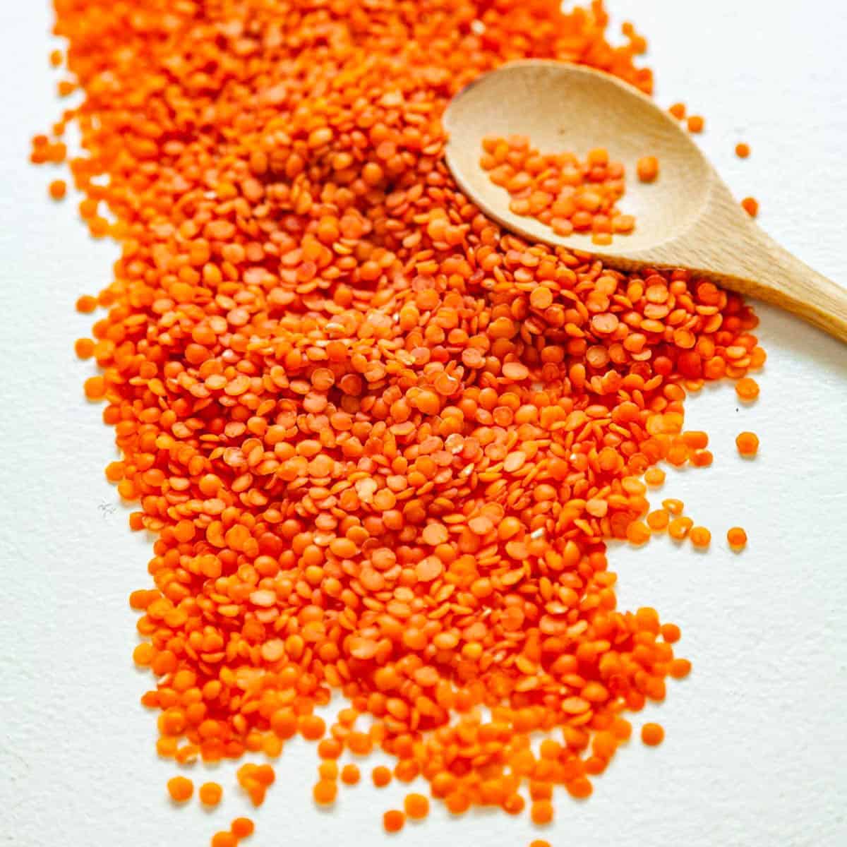 How To Make Red Lentils Red Lentil Curry Quick Easy Recipe FMQZXS