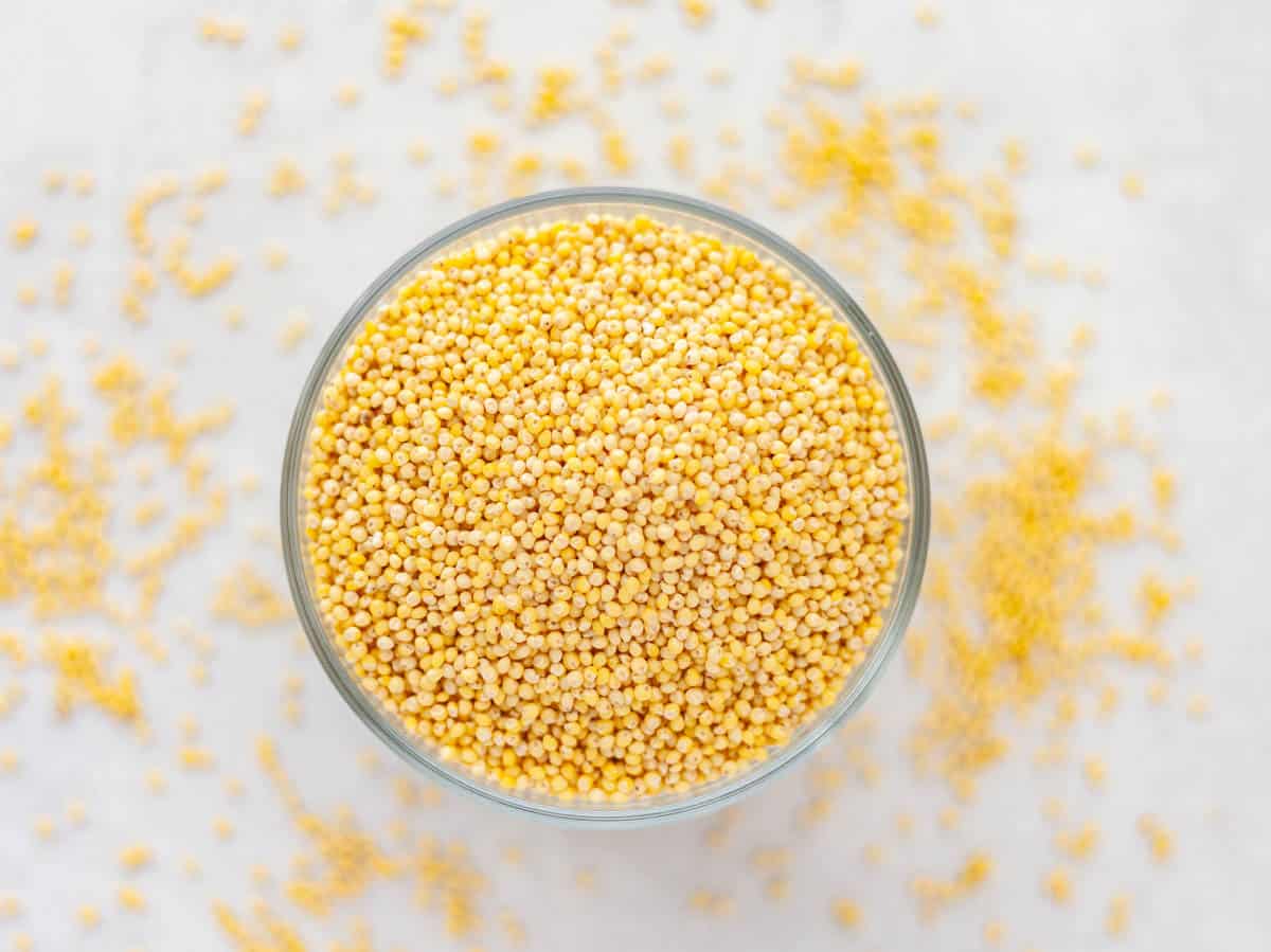 a small bowl of uncooked millet