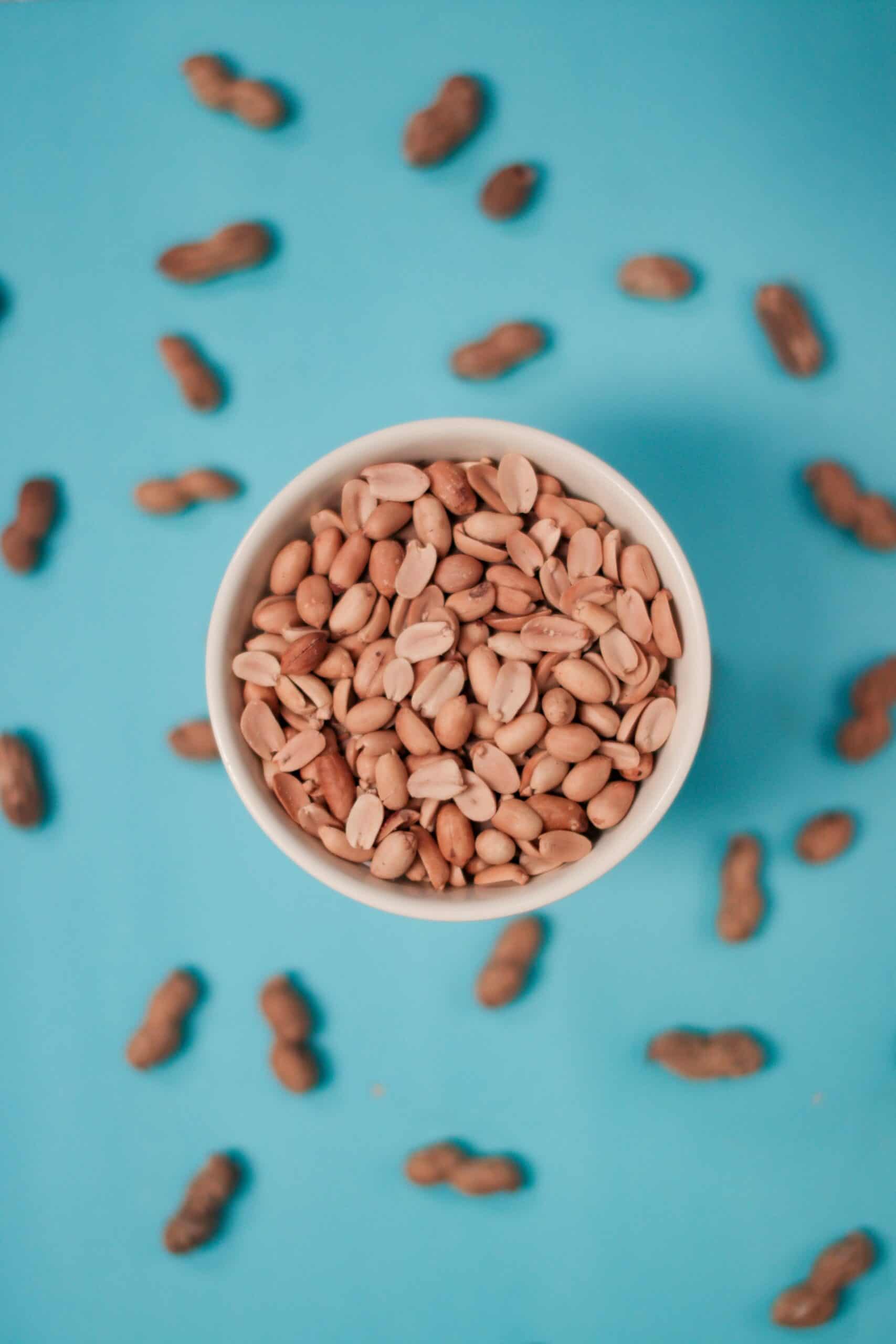 bowl of shelled peanuts surrounded by unshelled peanuts with a turquoise background