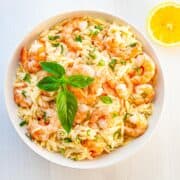 bowl of orzo and shrimp garnished with basil