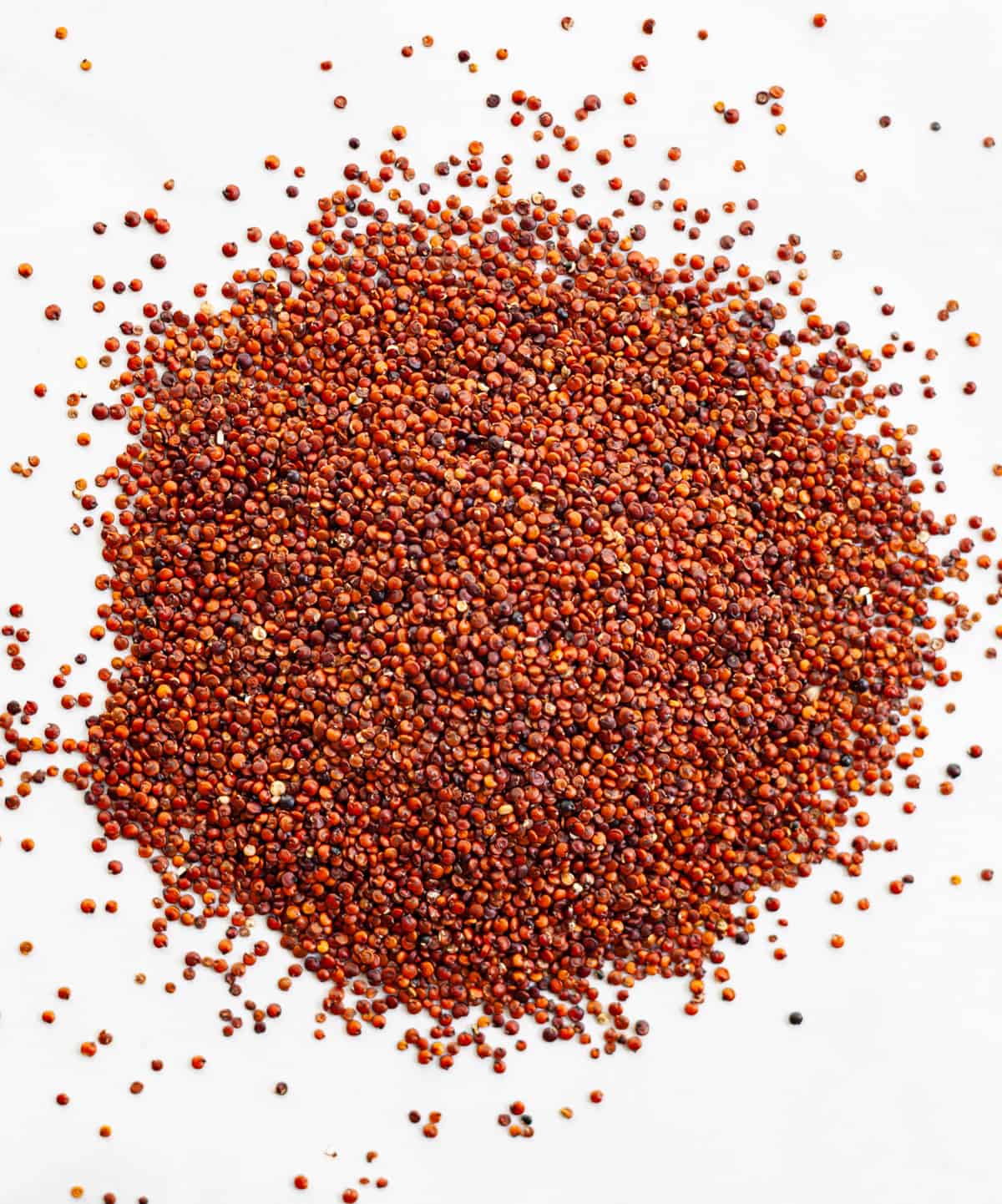 uncooked red quinoa