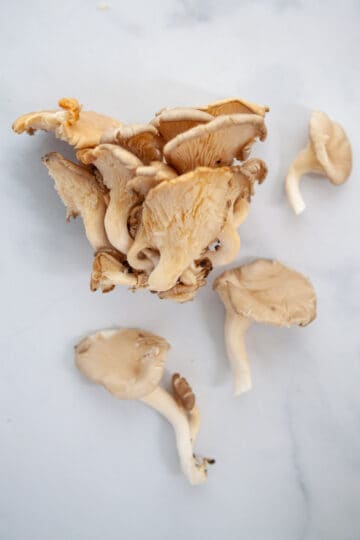 single oyster mushrooms separated from a cluster of oyster mushrooms