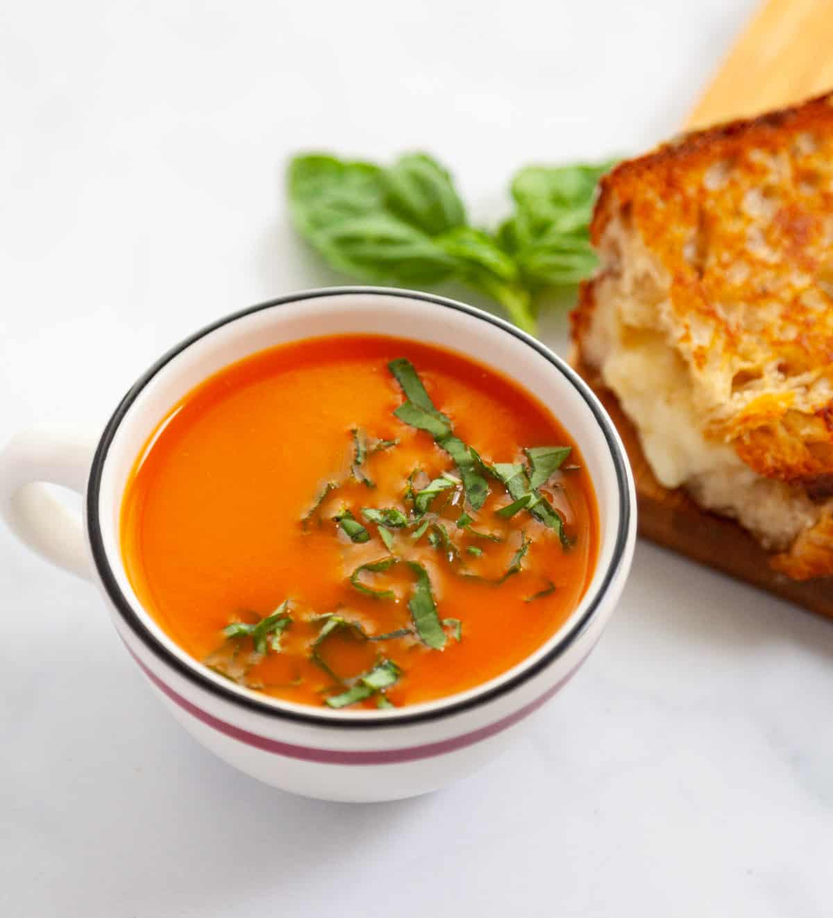 a cup of tomato basil soup