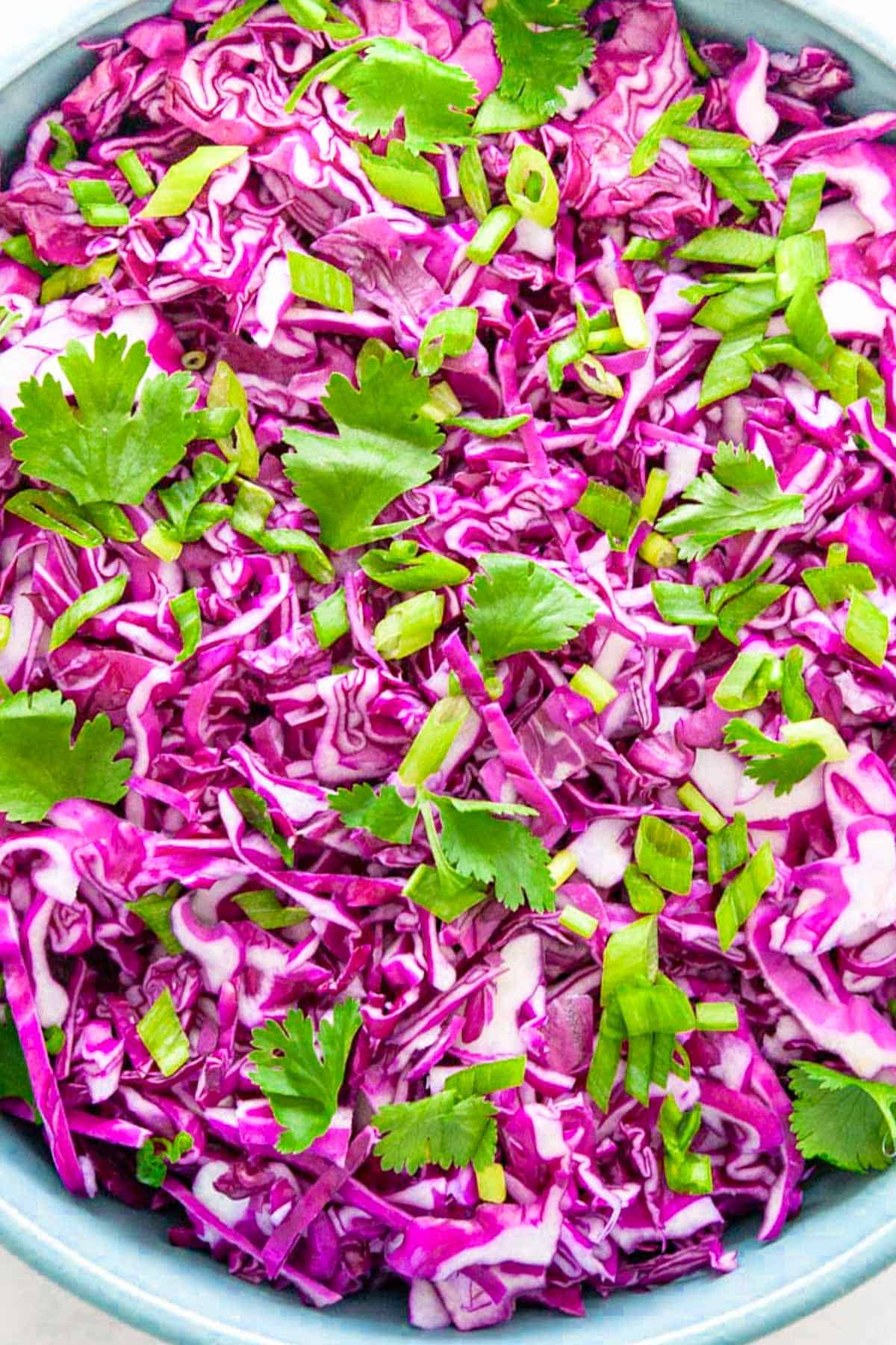 a close-up of shredded purple cabbage with cilantro and green onion