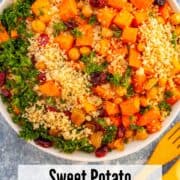 a bowl of couscous with roasted sweet potato chunks, chickpeas, cranberries and parsley.