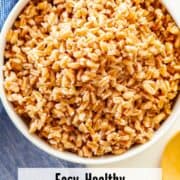 Cooked farro in a bowl.